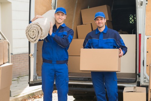 Risk assessment and careful planning before a removal job